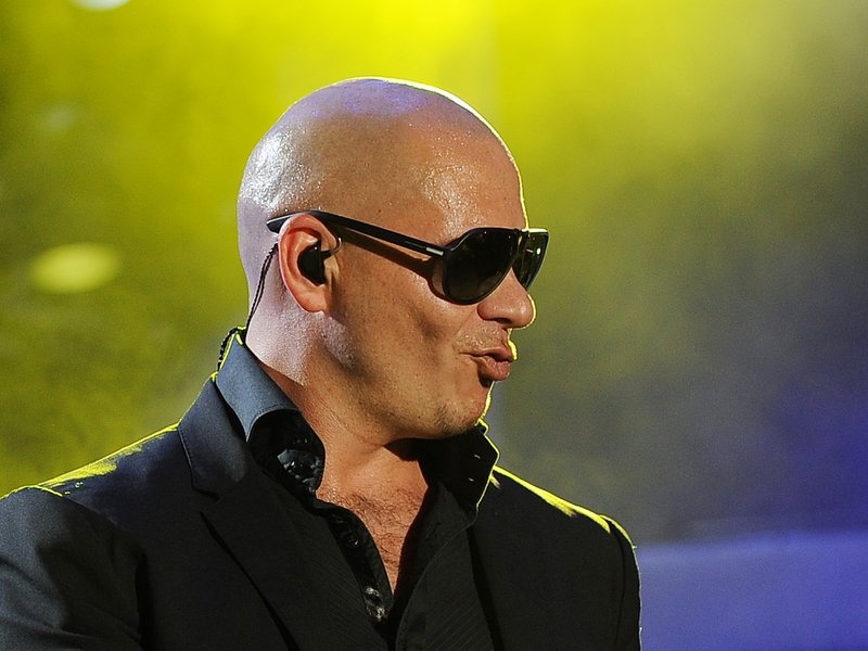 Know More About Pitbull: