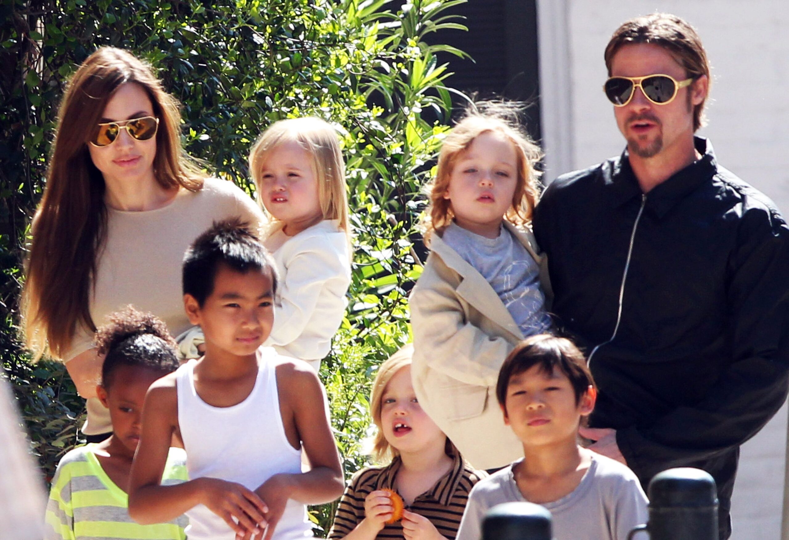 Angelina Jolie's Family