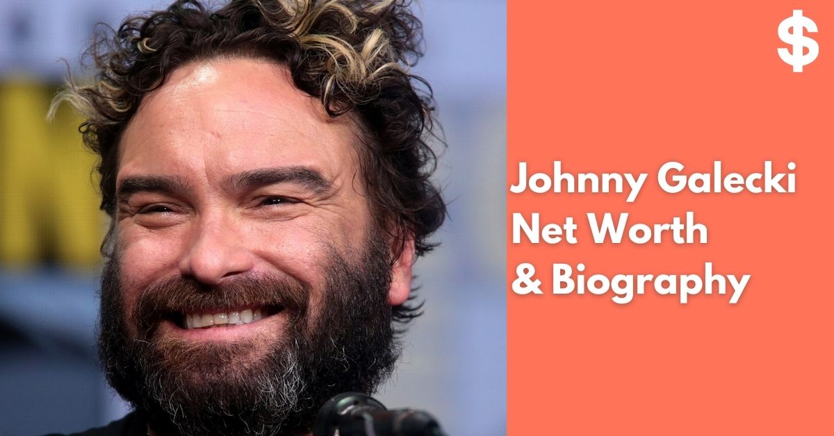 Johnny Galecki Net Worth | Income, Salary, Property | Biography