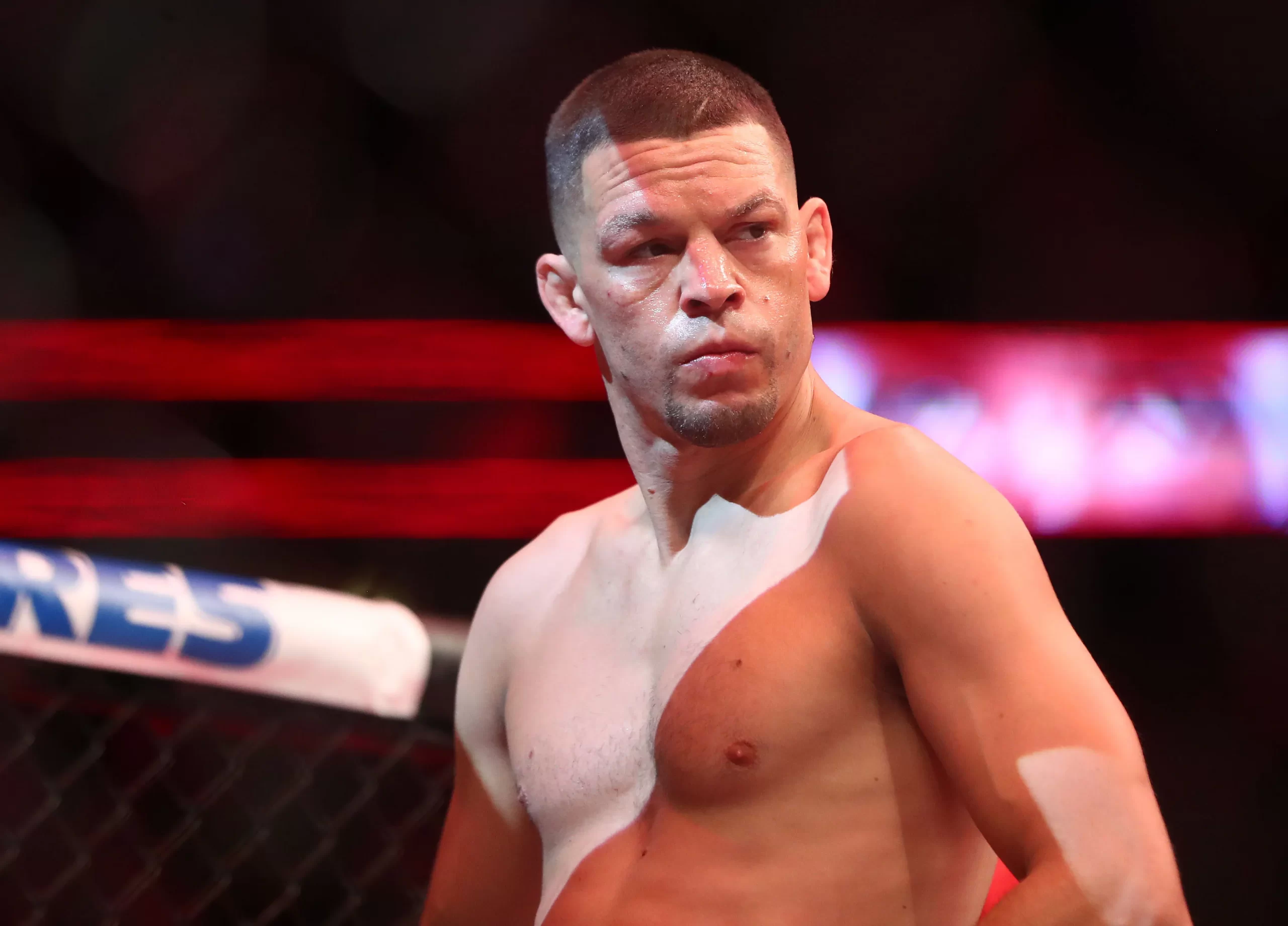 Nate Diaz Net Worth | Income, Salary, Property | Biography