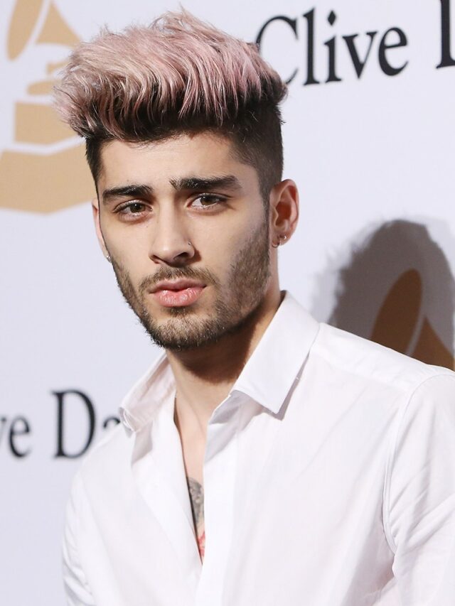 Zayn Malik Net Worth /biography NetWorthDekho