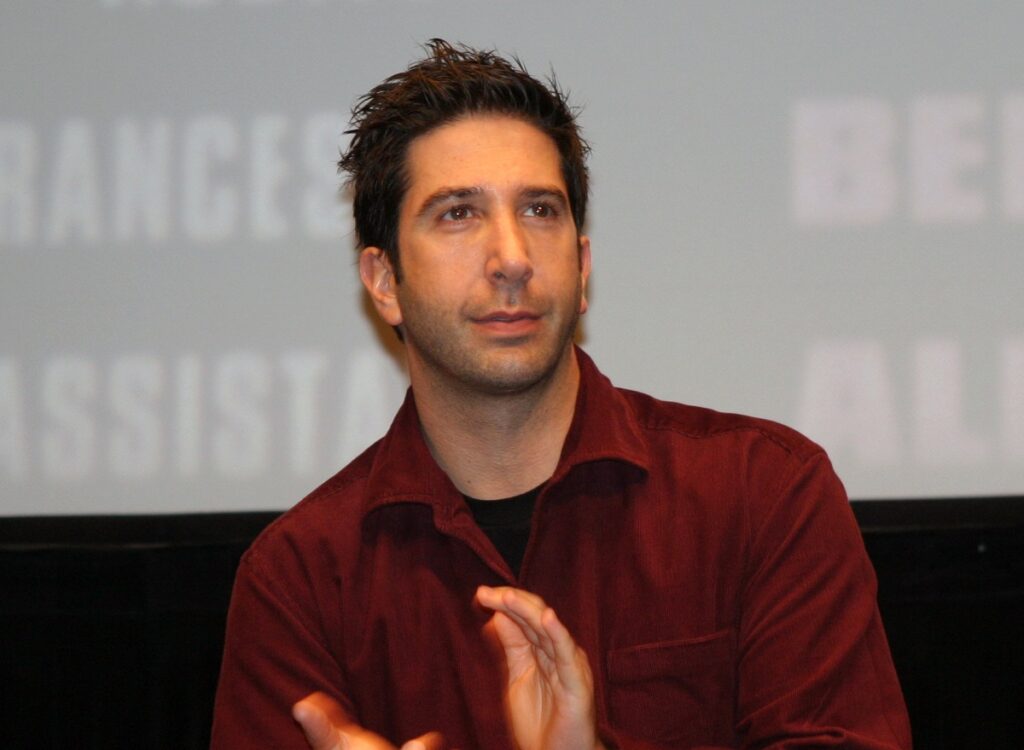 David Schwimmer Image