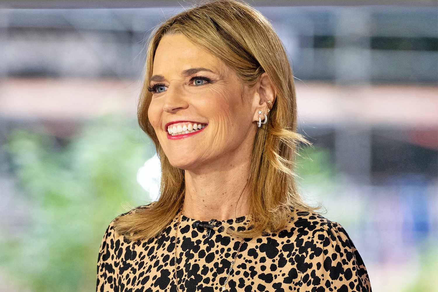 savannah guthrie net worth