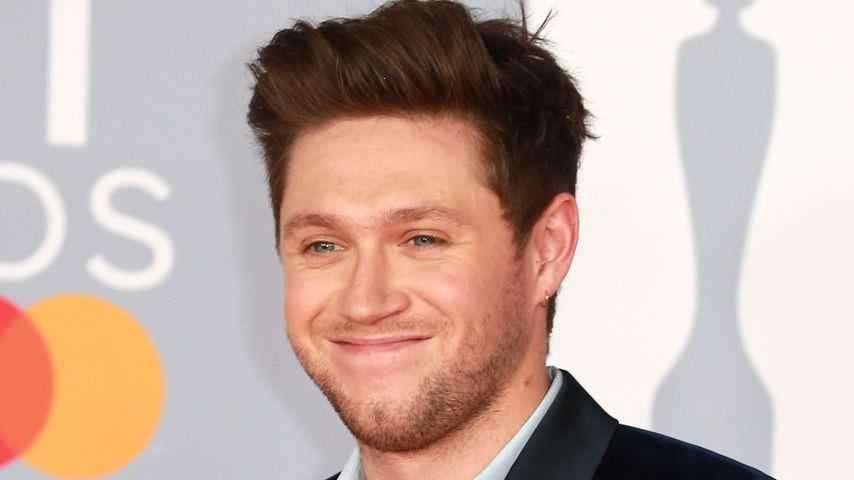 Niall Horan Net Worth